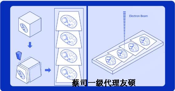 荆州蔡司荆州扫描电镜