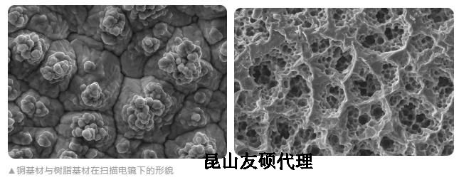 荆州蔡司荆州扫描电镜