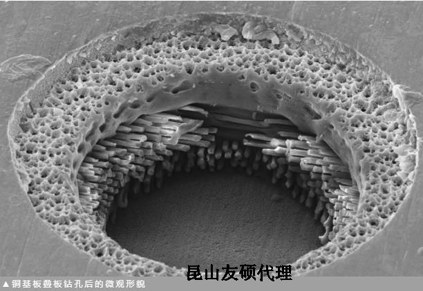 荆州蔡司荆州扫描电镜